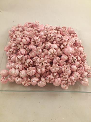 Chiloni 600 gr. parelmoer roze